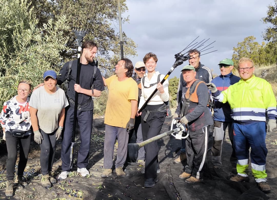 Olive oil and science